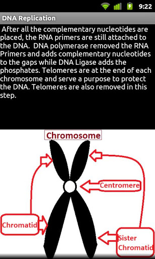 DNA Replication screenshot 3