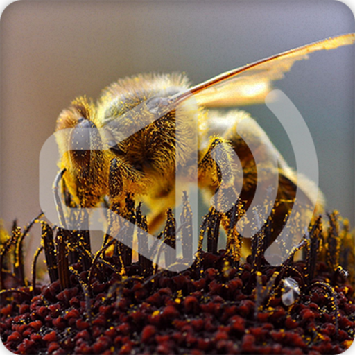 Bees Sounds Ringtone icon
