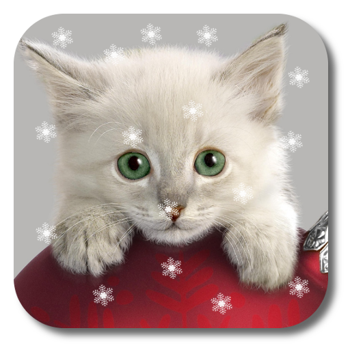 Xmas Cat Live Wallpaper icon