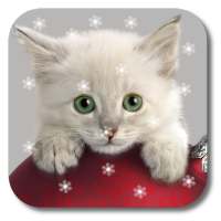 Xmas Cat Live Wallpaper