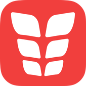 VGFIT ABS icon