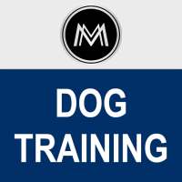 Dog Training