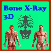 Bone with X-Ray icon