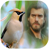 ضع صورتك مع أجمل الطيور العالم أيقونة