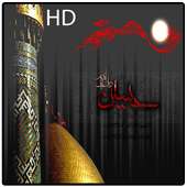 All Time Best Nohay Collection on 9Apps