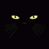 Dark Cat Lick LWP on 9Apps