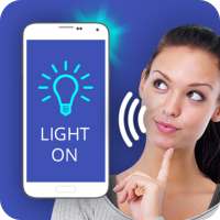 Flashlight voice control