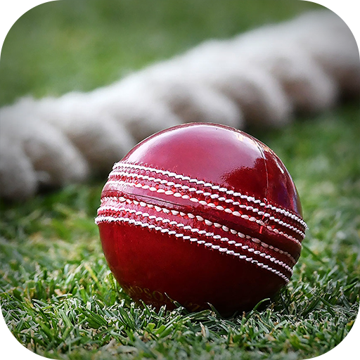 LiveScore Dream11 App Original icon