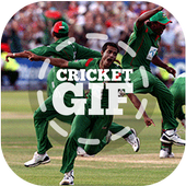 The best GIF of Cricket icon