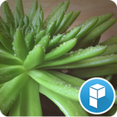 Healing Plants Launcher Theme icon