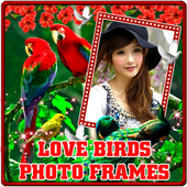 Love Birds Photo Frames icon