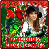 Love Birds Photo Frames