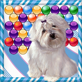 Super Dog Bubble Shooter icon