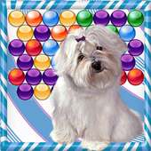 Super Dog Bubble Shooter