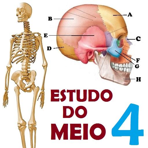 Estudo do Meio para o 4 Ano иконка