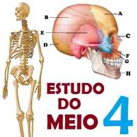 Estudo do Meio para o 4 Ano on 9Apps