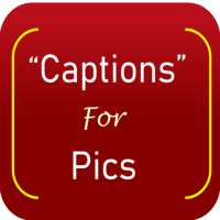 1000  Captions for Photos