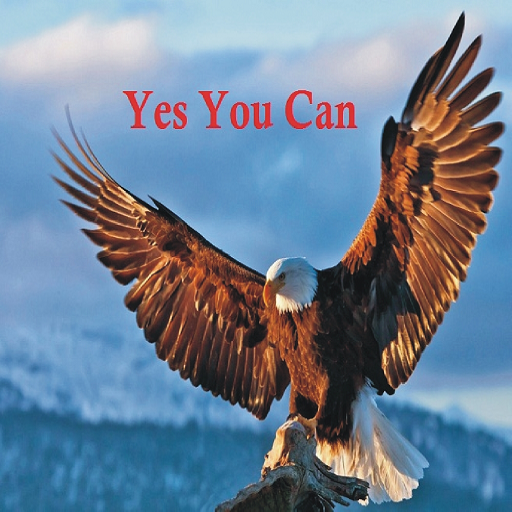 InspectorFIA Pak Std أيقونة