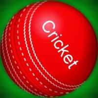Watch IPL Live 2020, Cricket Live Score