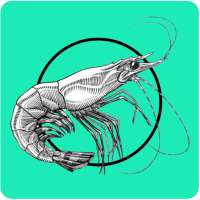 Shrimp Farming BD on 9Apps