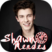 Shawn Mendes Song Offline 2019 icon
