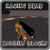 Survival Zombie Road Blocks icon