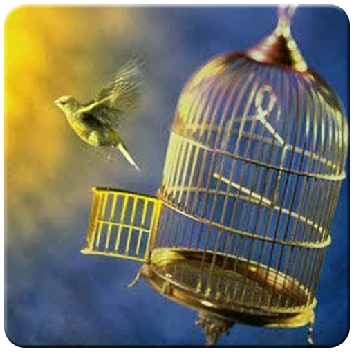 Mancing Burung Lepas icon