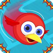 Parrot Games: Bird Games Free icon