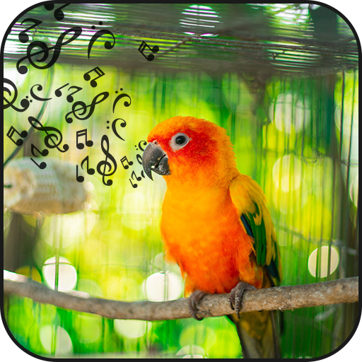 Bird sound and puzzle icon