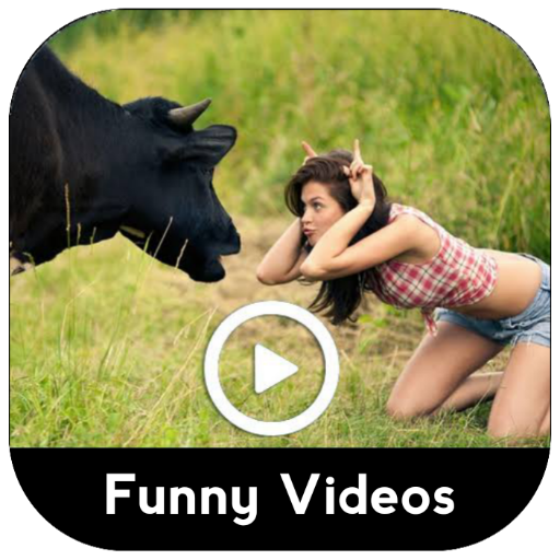 Funny Videos - Viral Videos icon