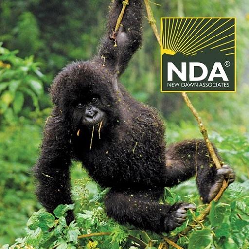 Rwanda Travel Guide icon