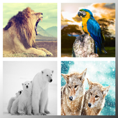 أفضل خلفيات الحيوانات للهاتف أيقونة