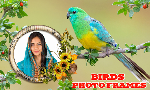 Birds Photo Frames screenshot 1