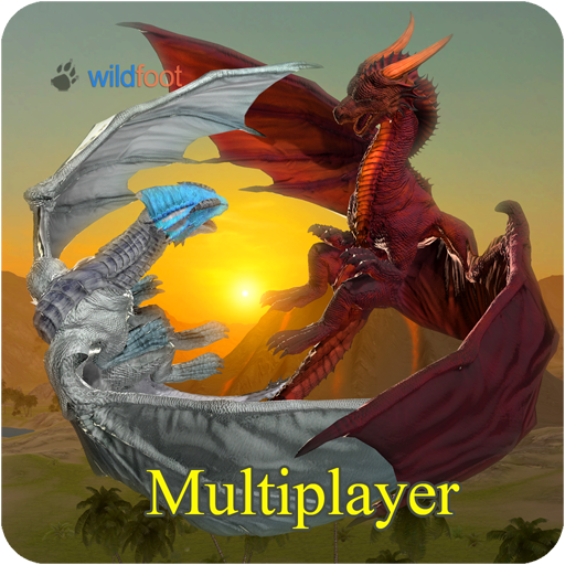 Dragon Multiplayer 3D icon