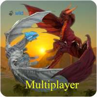 Dragon Multiplayer 3D