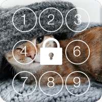 Funny Cat PIN Screen Lock