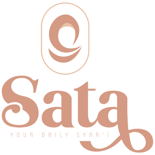 Sata icon
