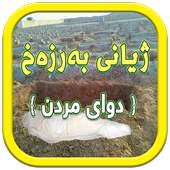 م.هەڵگورد مصطفي گەڵاڵی on 9Apps