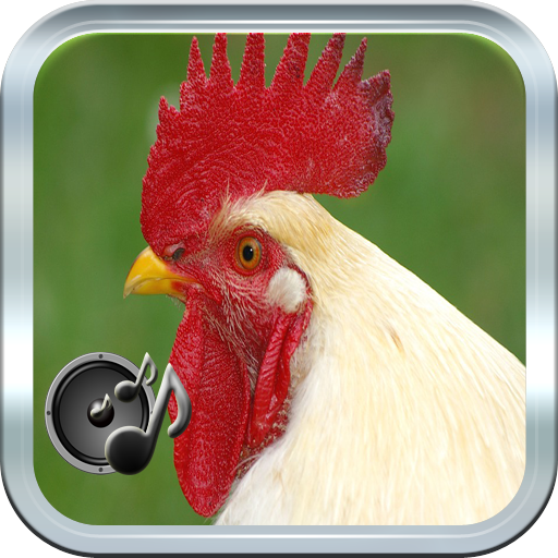 Rooster Sound icon