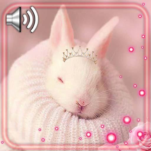 Bunnies Glamour Live Wallpaper icon