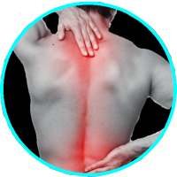 Back Pain Relief Exercises on 9Apps