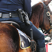 City Police Horse Training icon