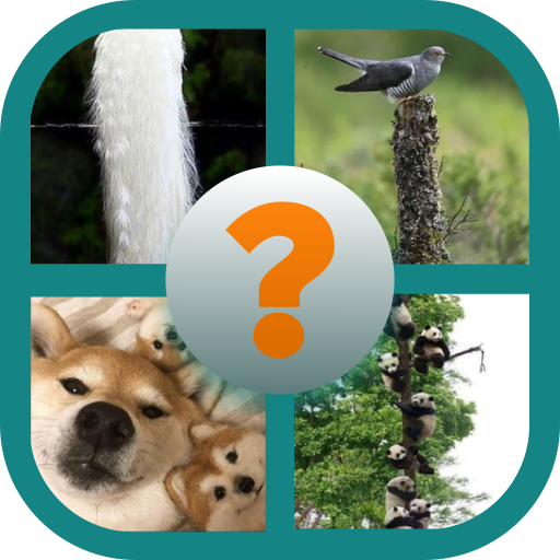 Guess The Animals icon