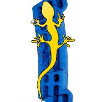 Project Hangboard Training PRO