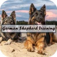 German Shepherd Training