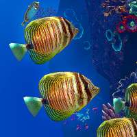 OCEAN AQUARIUM Live Wallpaper FREE