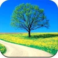 Nature Wallpaper 4K on 9Apps