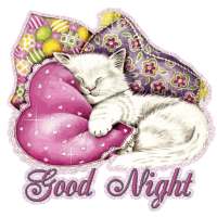 Good Night SMS Messages Msgs on 9Apps