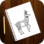 Free Drawing Tutorials - Animals (1st Edition) icon