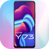 Vivo Y73 Launcher icon